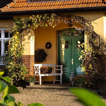 Fewo Mit Pferdeboxen, Paddock Und Weide In Der Lueneburger Heide Apartman Vierhofen Kültér fotó