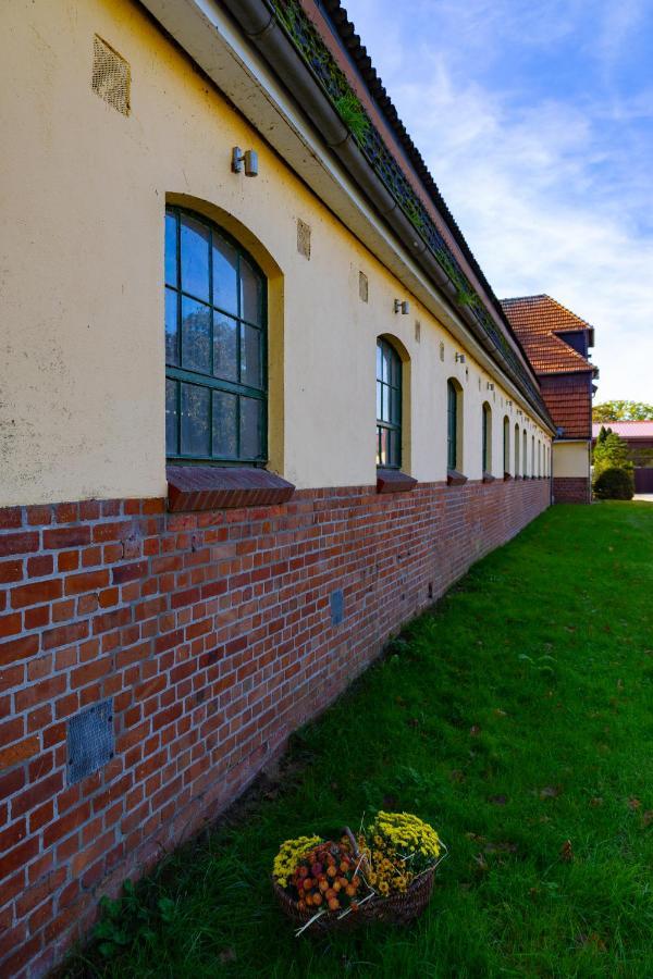 Fewo Mit Pferdeboxen, Paddock Und Weide In Der Lueneburger Heide Apartman Vierhofen Kültér fotó