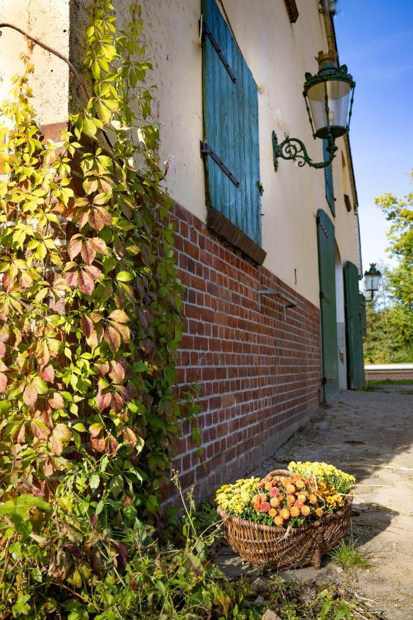 Fewo Mit Pferdeboxen, Paddock Und Weide In Der Lueneburger Heide Apartman Vierhofen Kültér fotó