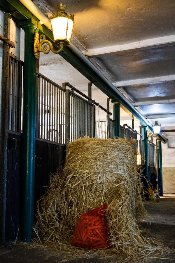 Fewo Mit Pferdeboxen, Paddock Und Weide In Der Lueneburger Heide Apartman Vierhofen Kültér fotó