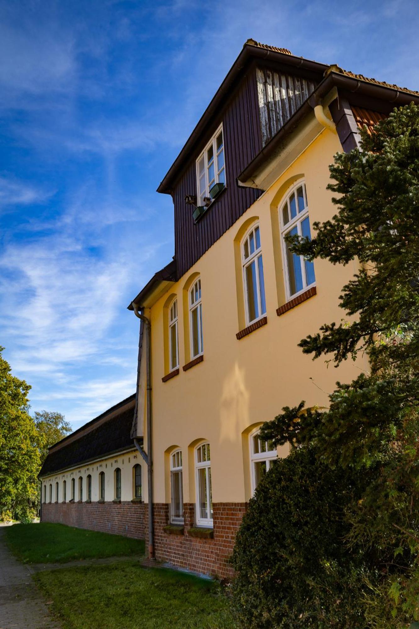 Fewo Mit Pferdeboxen, Paddock Und Weide In Der Lueneburger Heide Apartman Vierhofen Kültér fotó